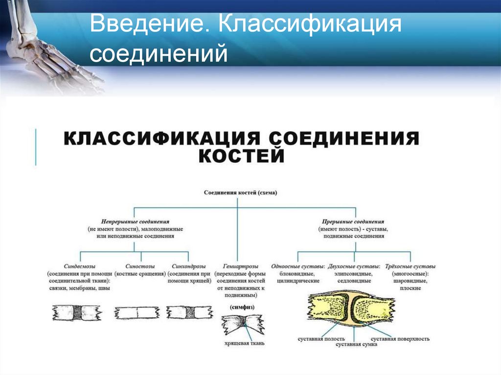 Введение. Классификация соединений