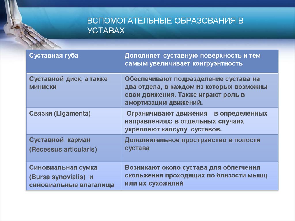 ВСПОМОГАТЕЛЬНЫЕ ОБРАЗОВАНИЯ В УСТАВАХ