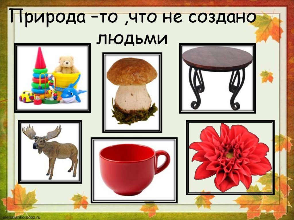 Что окружает нас ?