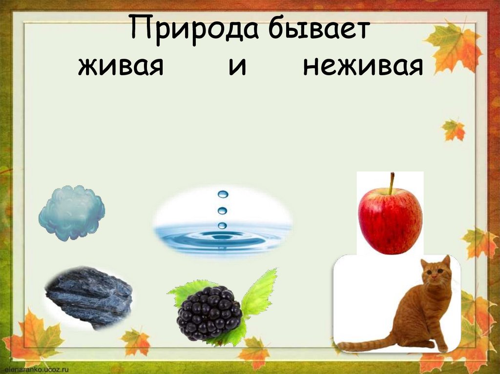 Природа –то ,что не создано людьми