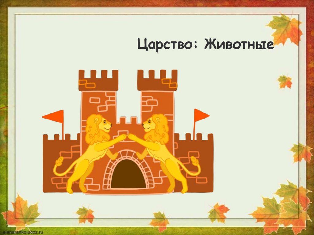 Растения культурные