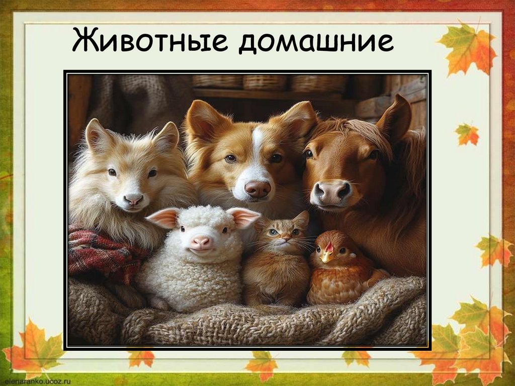 Животные дикие