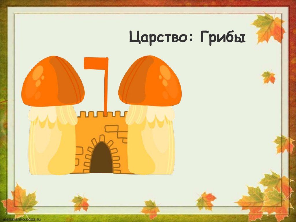 Животные домашние