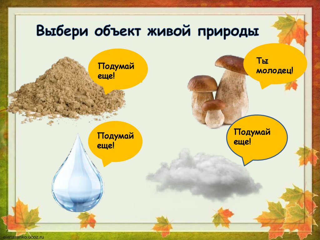 Человек –часть природы?