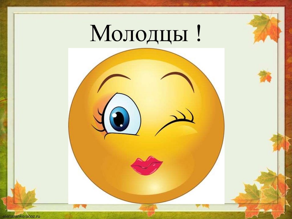 Что такое природа? Какая бывает природа? Что относится к живой природе? Что относится к неживой природе?