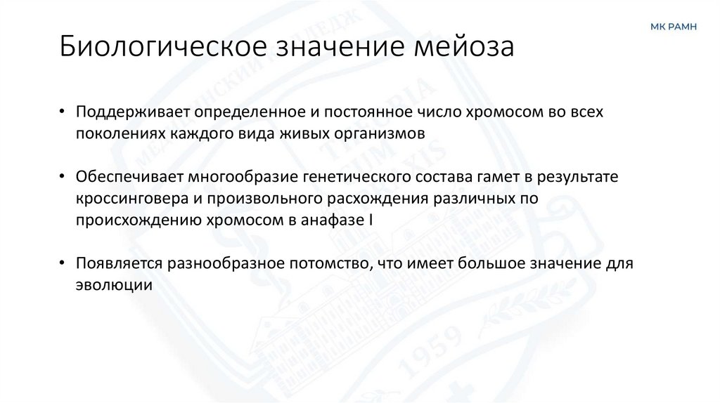 Биологическое значение мейоза