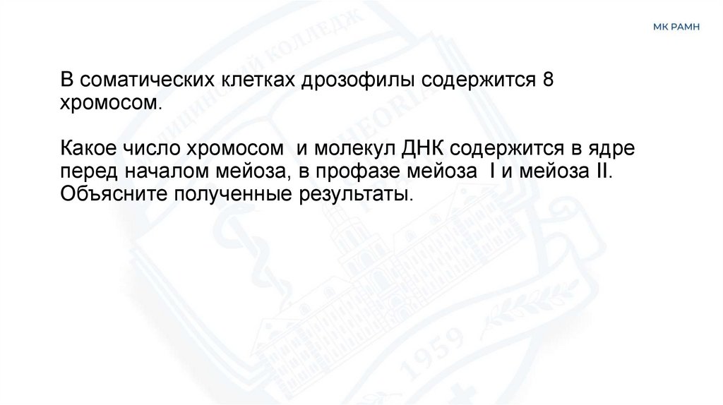 В соматических клетках дрозофилы содержится 8 хромосом. Какое число хромосом и молекул ДНК содержится в ядре перед началом