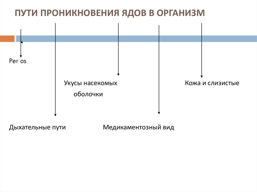 ПУТИ ПРОНИКНОВЕНИЯ ЯДОВ В ОРГАНИЗМ