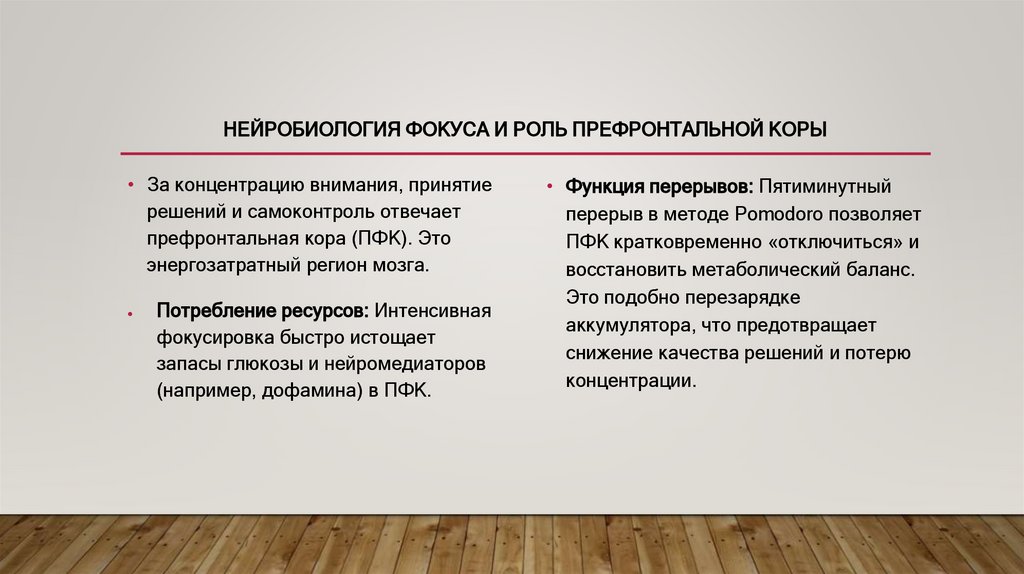 Нейробиология фокуса и роль Префронтальной коры