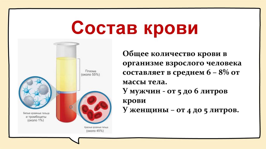 Состав крови