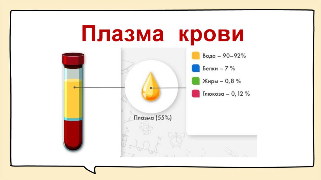 Плазма крови