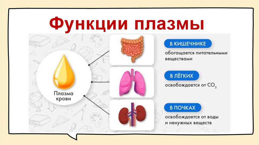 Функции плазмы