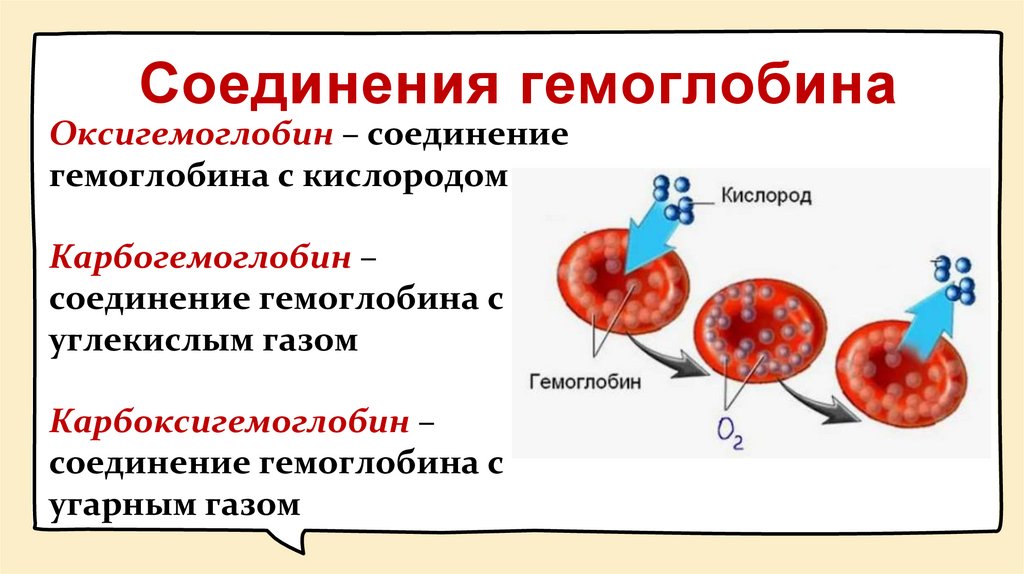 Соединения гемоглобина