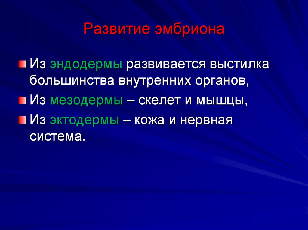 Развитие эмбриона