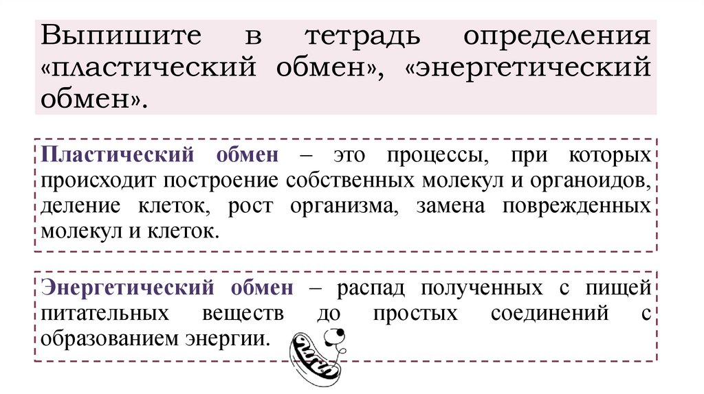 Выпишите в тетрадь определения «пластический обмен», «энергетический обмен».
