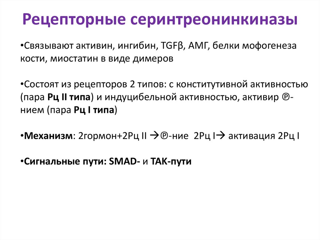 Рецепторные серинтреонинкиназы