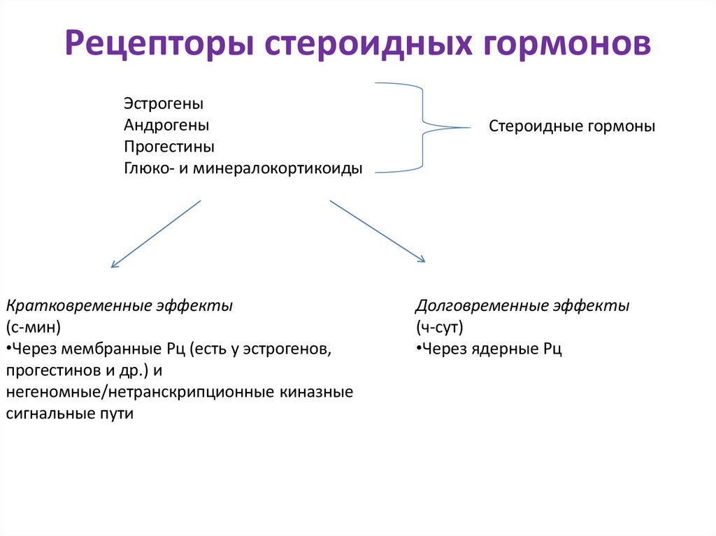 Рецепторы стероидных гормонов