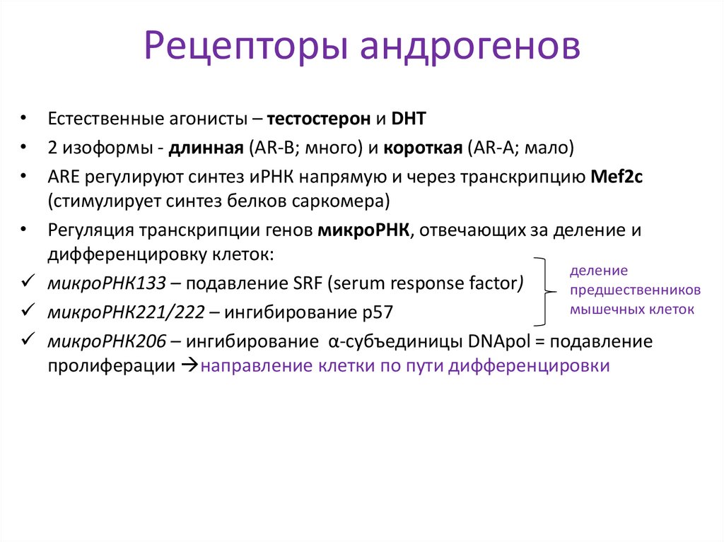 Рецепторы андрогенов