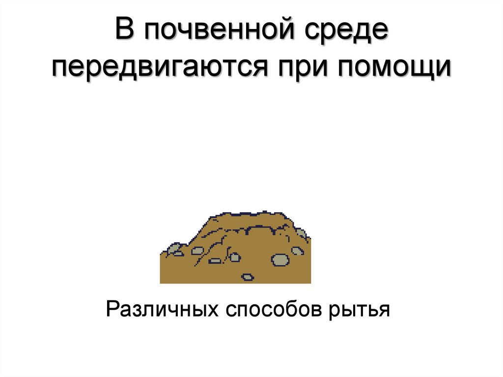 В почвенной среде передвигаются при помощи