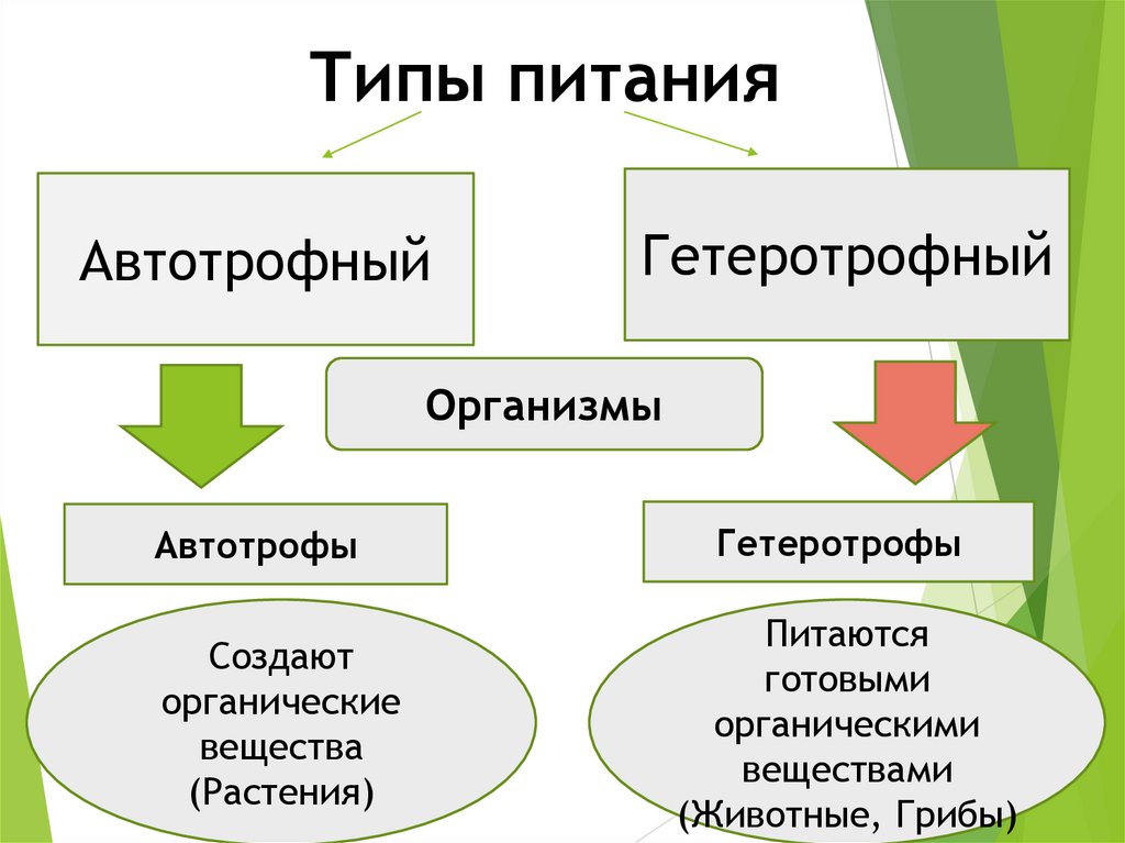 Типы питания