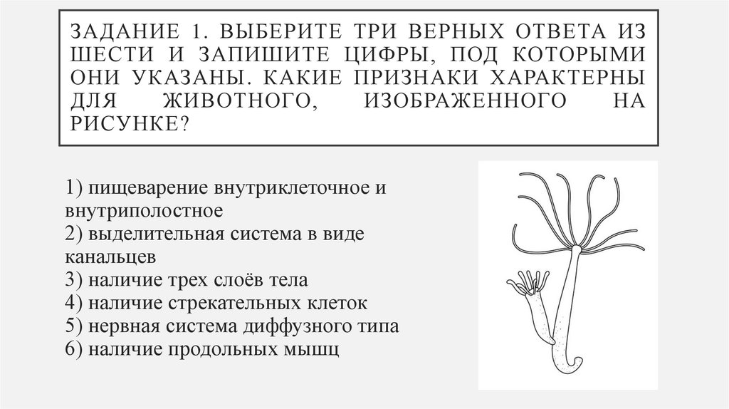 Задание 1. Выберите три верных ответа из шести и запишите цифры, под которыми они указаны. Какие признаки характерны для