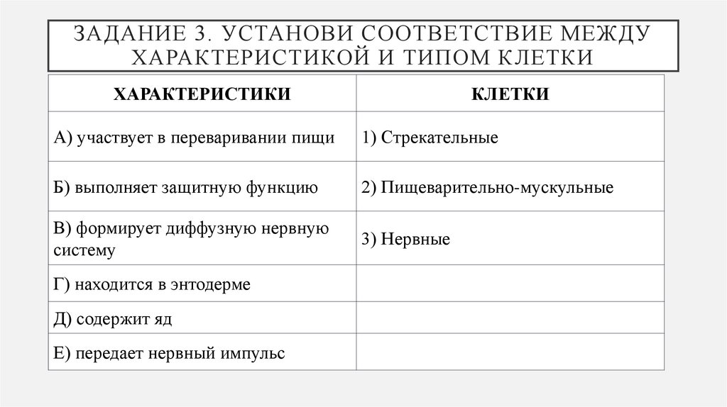 Задание 3. Установи соответствие между характеристикой и типом клетки