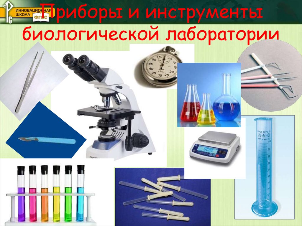 Приборы и инструменты биологической лаборатории