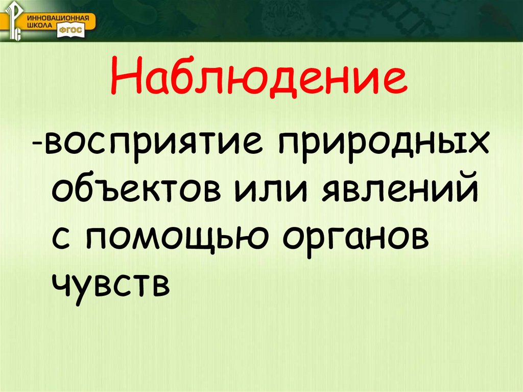 Наблюдение