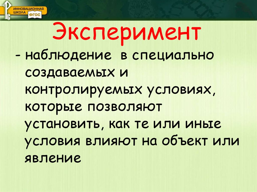 Эксперимент