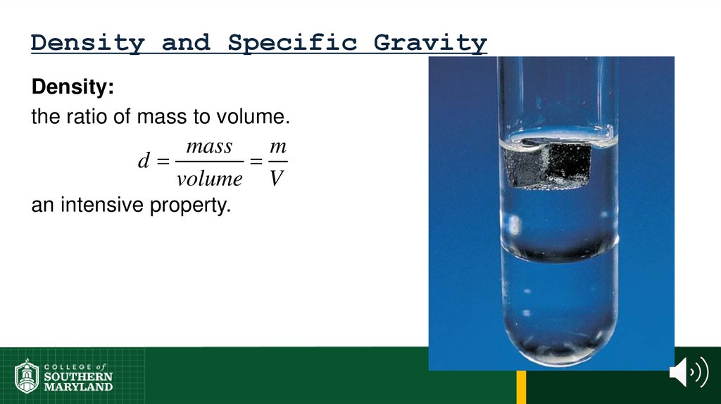 Density and Specific Gravity