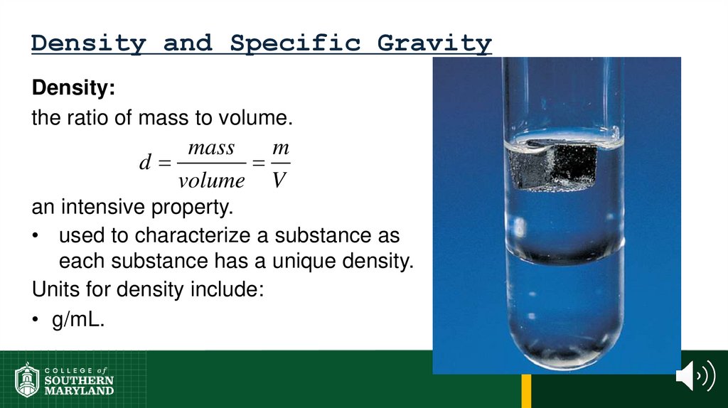 Density and Specific Gravity