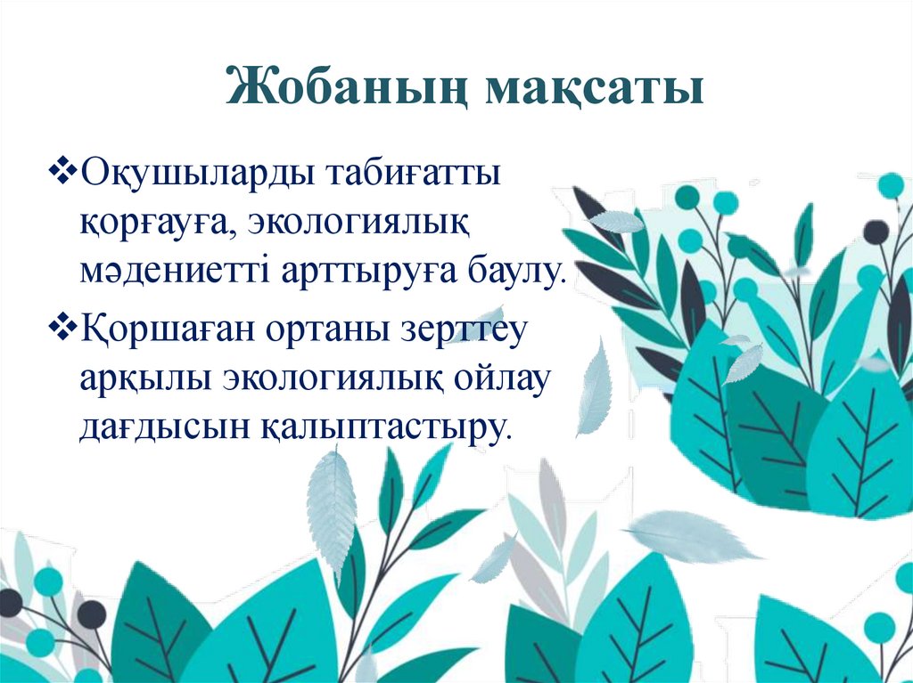 Жобаның мақсаты