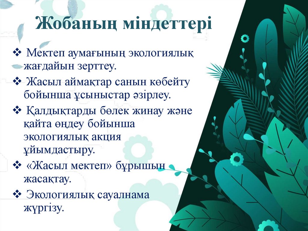 Жобаның міндеттері