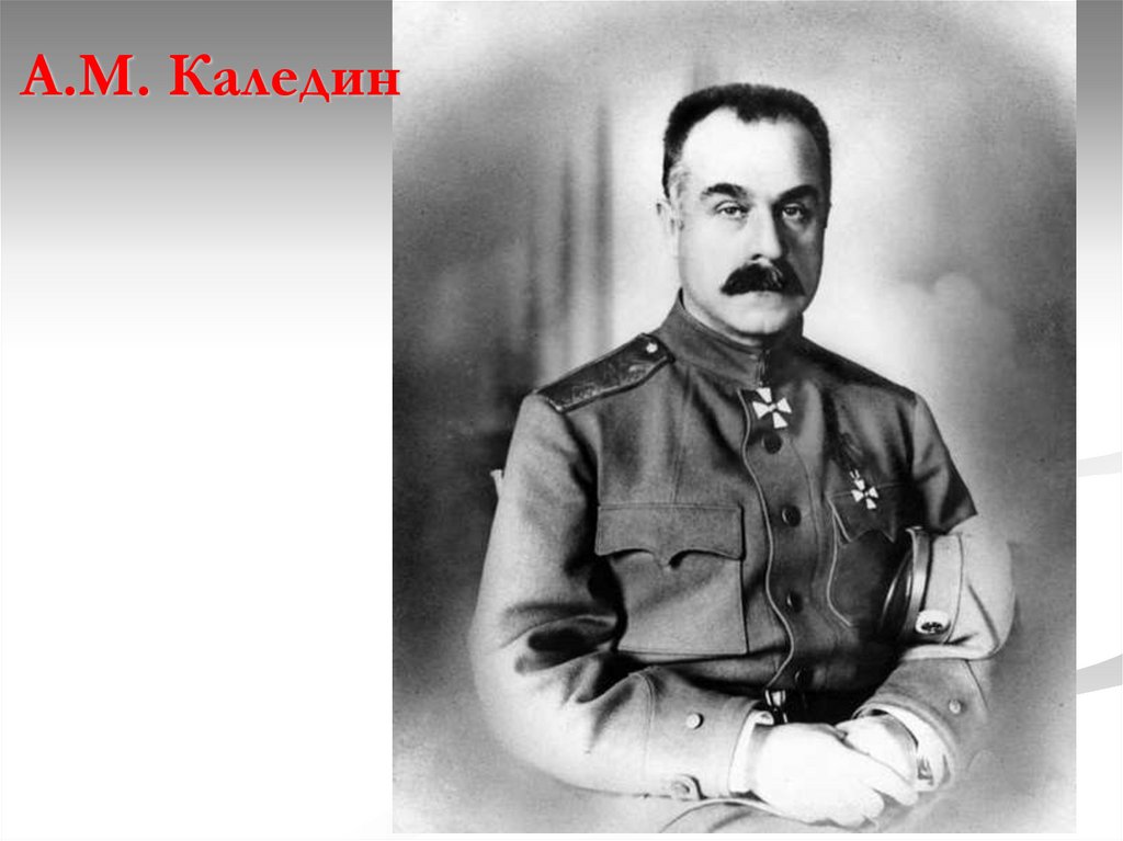 А.М. Каледин