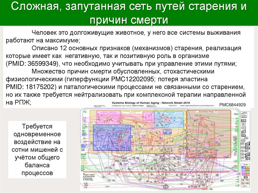 Сложная, запутанная сеть путей старения и причин смерти