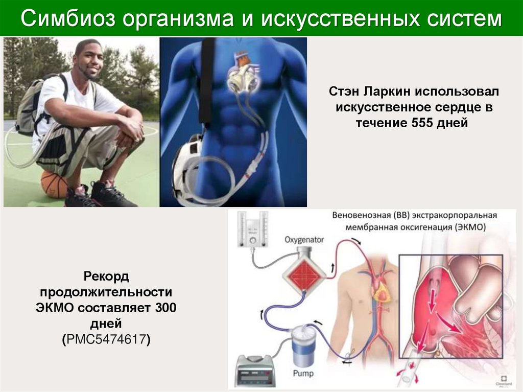 Симбиоз организма и искусственных систем