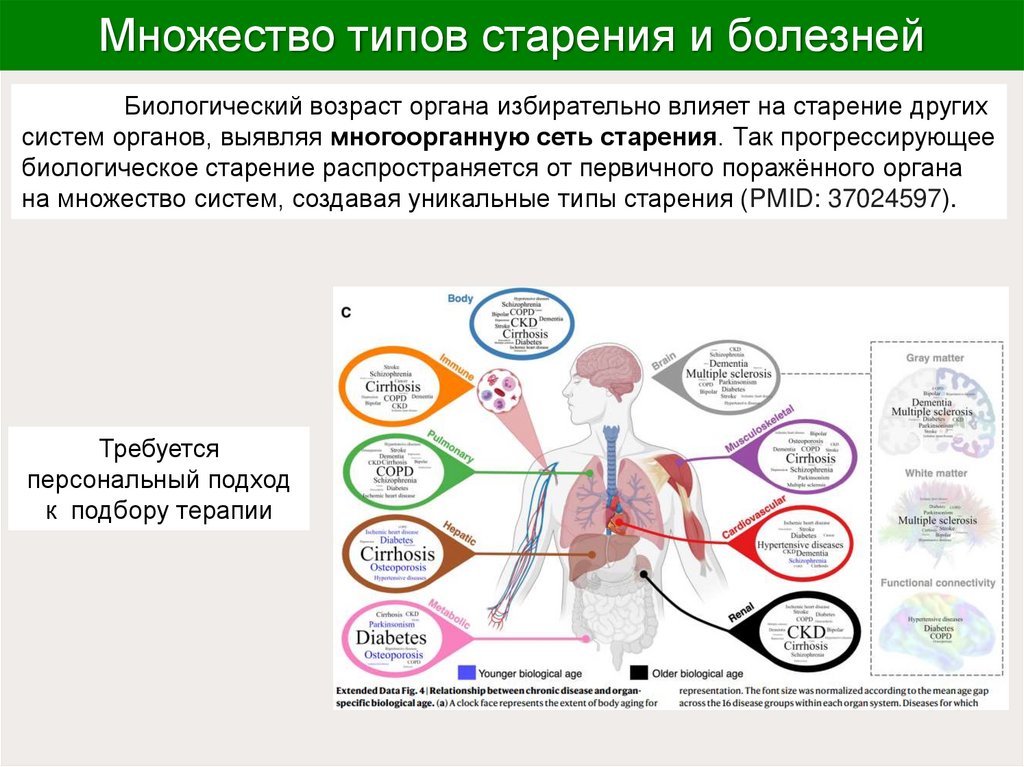 Множество типов старения и болезней