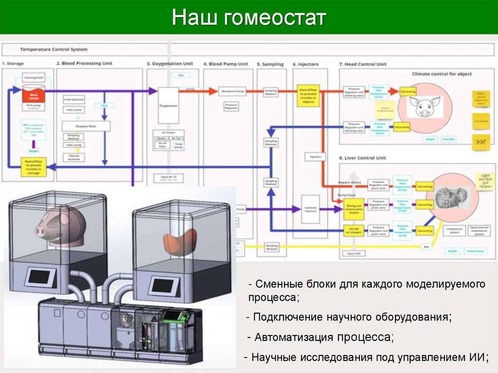 Наш гомеостат
