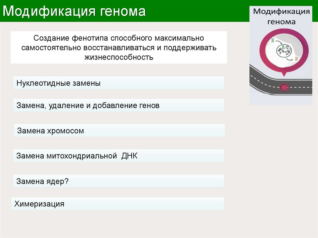 Модификация генома