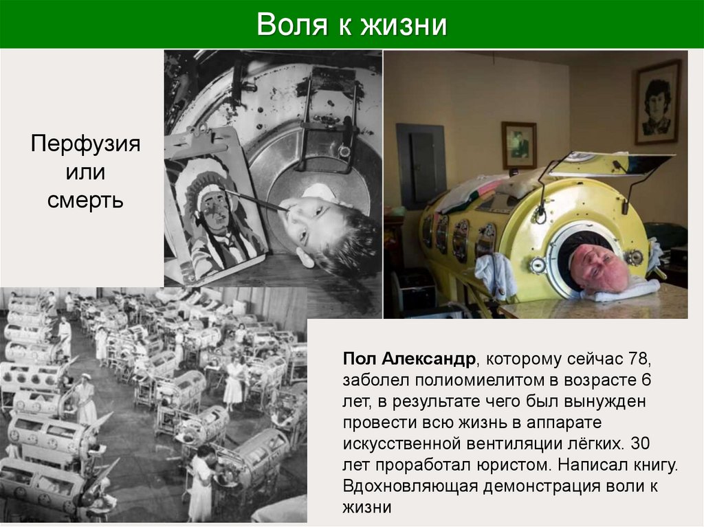 Воля к жизни