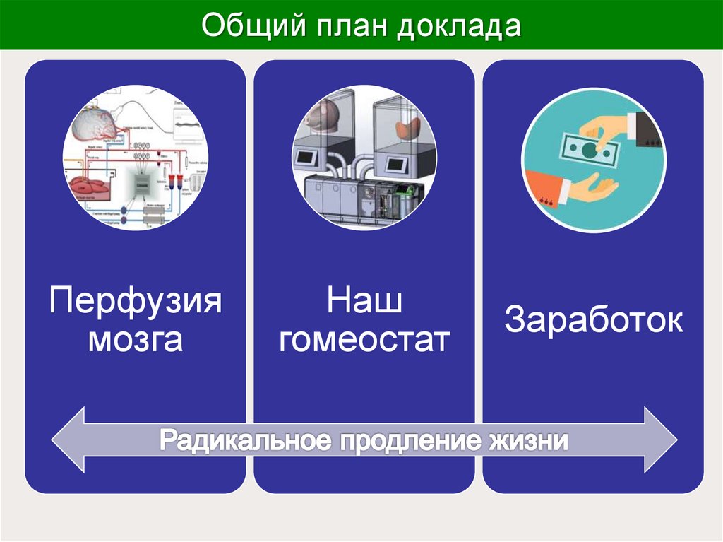 Общий план доклада