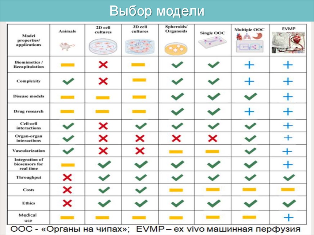 Выбор модели