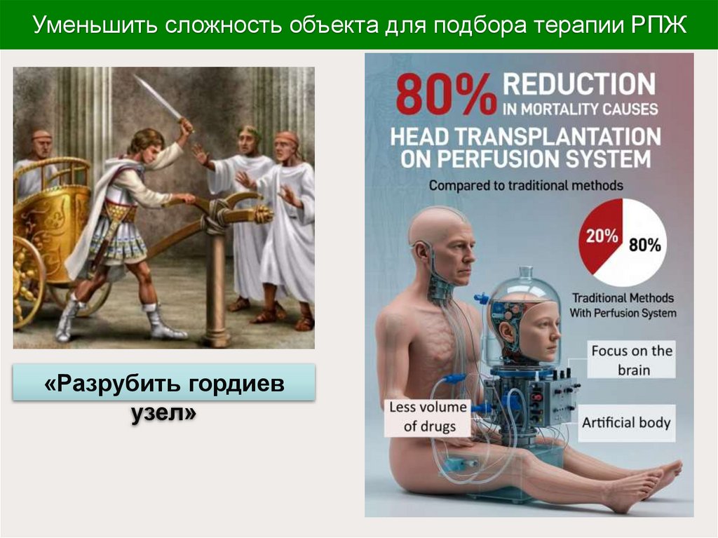 Уменьшить сложность объекта для подбора терапии РПЖ