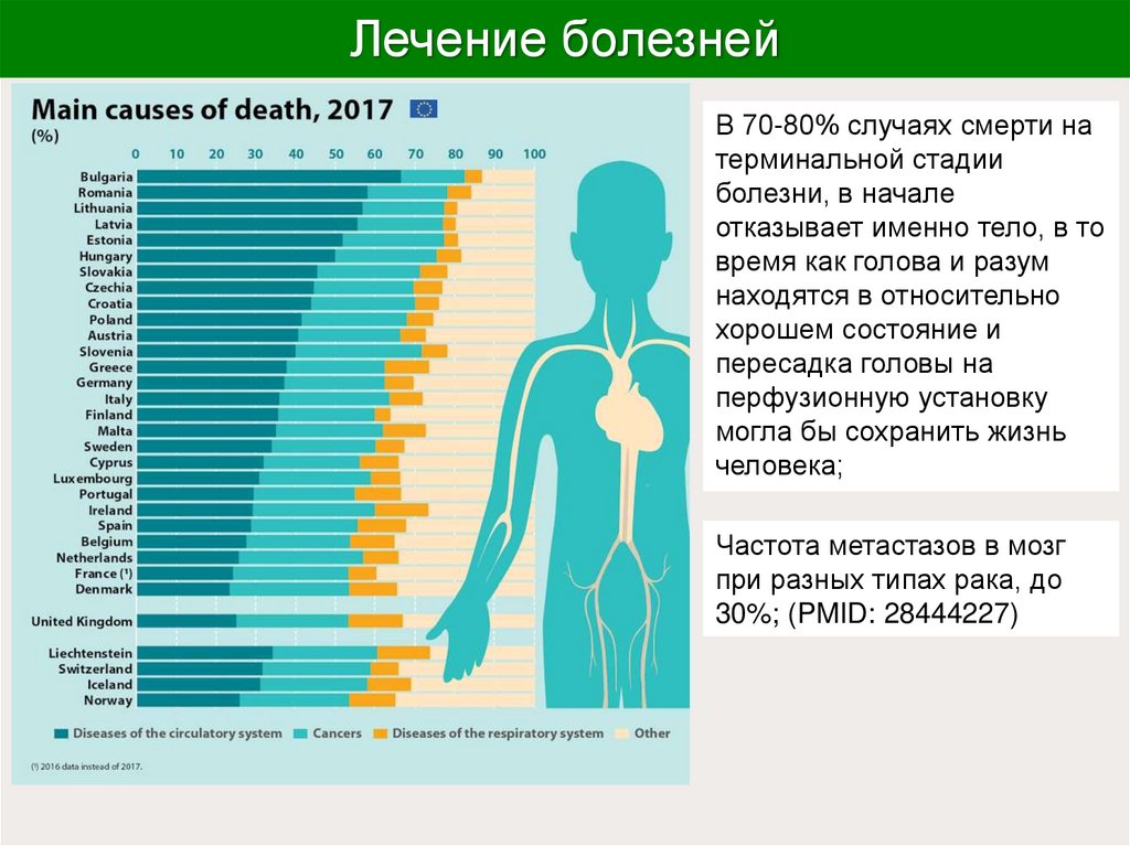 Лечение болезней