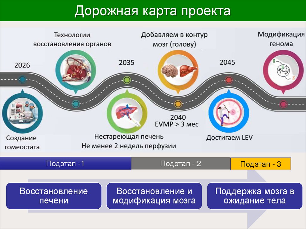 Дорожная карта проекта