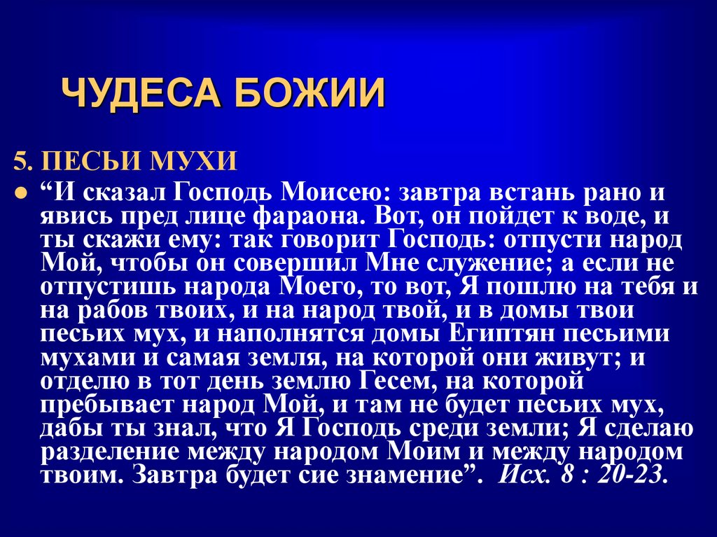 ЧУДЕСА БОЖИИ