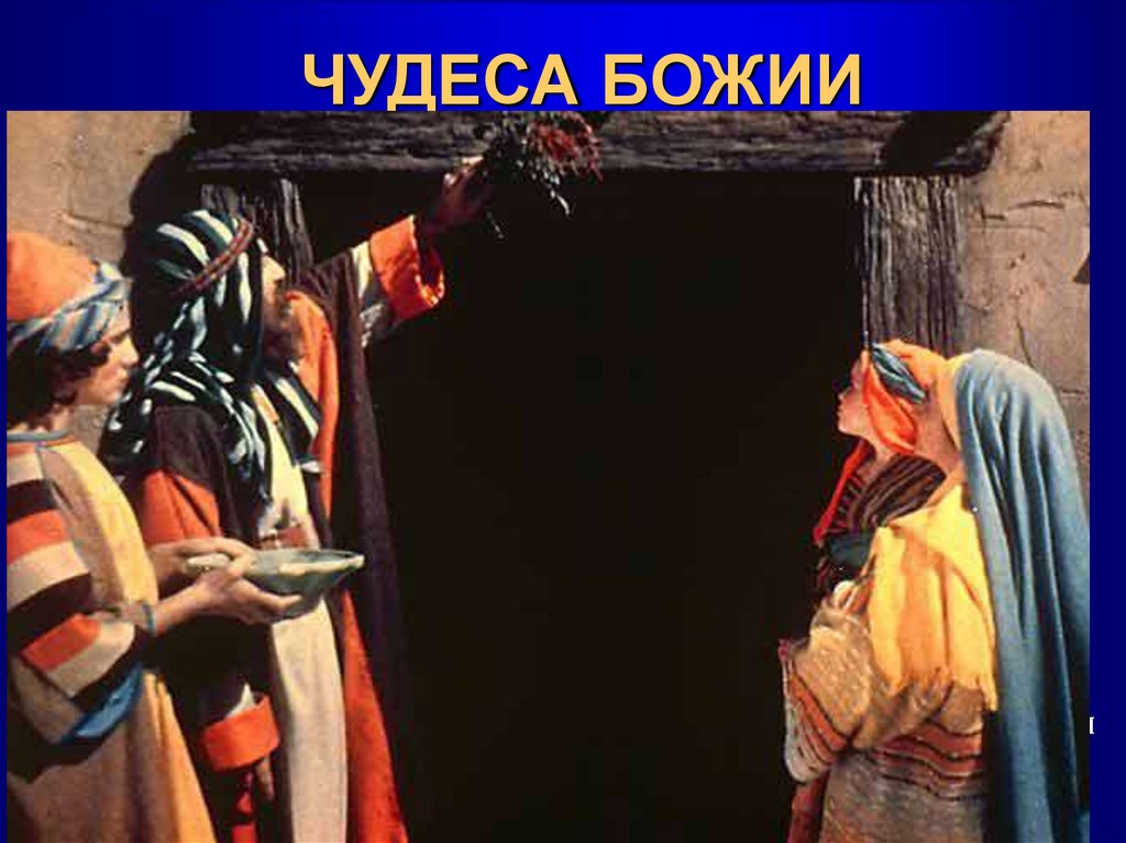 ЧУДЕСА БОЖИИ