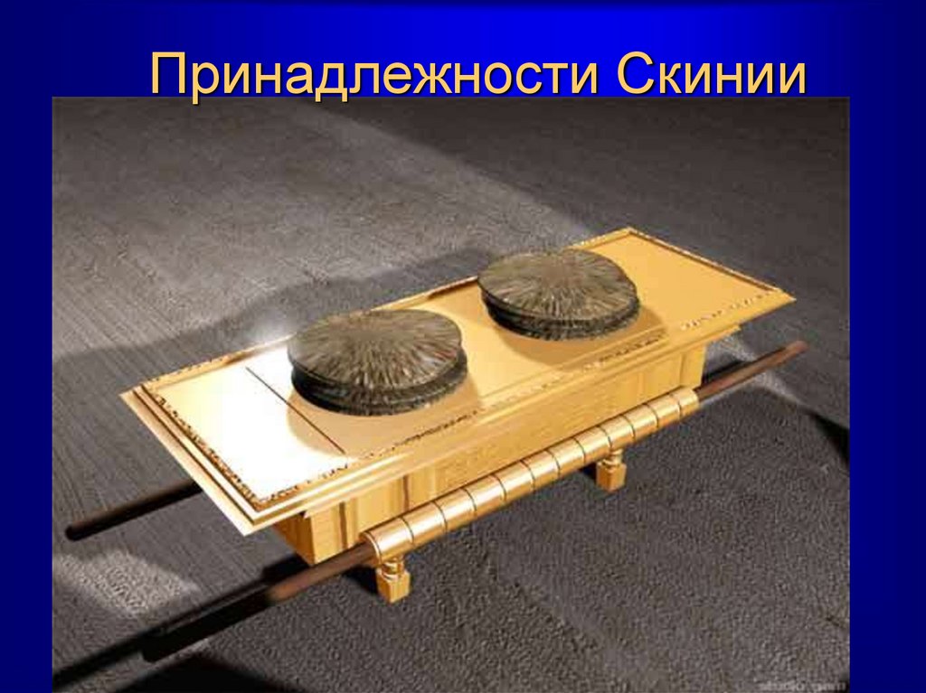 Принадлежности Скинии