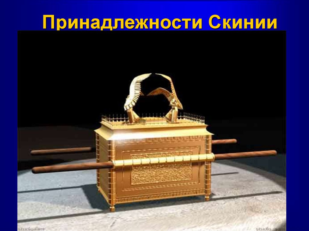 Принадлежности Скинии