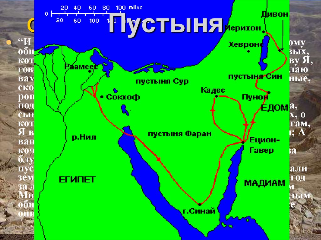 СОРОК ЛЕТ В ПУСТЫНЕ